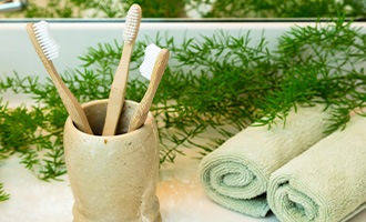 Toothbrushes in a holder